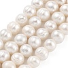 Natural Cultured Freshwater Pearl Beads Strands PEAR-C003-09C-2