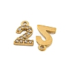 304 Stainless Steel Pendants X-STAS-L080-002G-02-2
