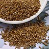 MIYUKI Delica Beads SEED-J020-DB2273-1