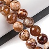 Natural Fire Crackle Agate Beads Strands G-G163-A01-04-2