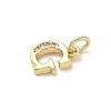 Brass Micro Pave Cubic Zirconia Charms LS-KK-I382-03G-G-2