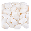 40Pcs Natural Shell for Aquarium Fish Tank Ornaments SHEL-PH0001-69B-6