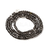 Natural Silver Obsidian Beads Strands G-B074-C10-01-3