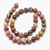 Natural Plum Blossom Jasper Beads Strands G-A163-02-8mm-2