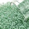 TOHO Round Seed Beads SEED-XTR11-0144-1