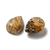 Natural Picture Jasper Cabochons G-Q173-02B-13-2