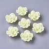 Resin Beads LS-RESI-B3244-A17-2