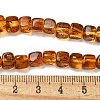 Natural Amber Beads Strands G-K387-E01-01-5