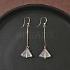 Electroplated 304 Stainless Steel Resin Fan Dangle Earrings EJEW-Z129-11G-02-1