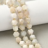 Natural Moonstone Beads Strands G-G271-A02-01-1