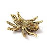 Holloween Spider Alloy Rhinestone Brooches JEWB-S023-02B-2