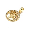 Brass Micro Pave Cubic Zirconia Pendants LS-KK-R227-02G-2