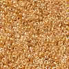 MIYUKI Round Rocailles Beads SEED-JP0010-RR0234-3