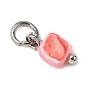 Dyed Natural Freshwater Shell Nuggets Charms PALLOY-JF04375-02-4