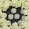 Frosted Transparent Acrylic Beads OACR-P029-19B-03-1