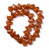 Natural Red Aventurine Beads Strands G-F783-G01-01-6
