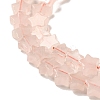 Natural Rose Quartz Beads Strands G-G085-B19-02-3