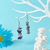 Natural Amethyst Chip Beads Dangle Earrings EJEW-JE04649-05-2