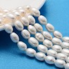 Natural Cultured Freshwater Pearl Beads Strands PEAR-L001-15-1