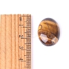 Natural Tiger Eye Cabochons PW-WGEFD9A-04-3