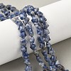 Natural Blue Spot Jasper Star Beads Strands G-Z080-A06-1