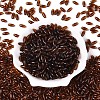 Transparent Colours Glass Seed Beads SEED-T007-16P-1