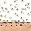 6/0 Baking Paint Transparent Fringe Glass Seed Beads SEED-N006-06B-4
