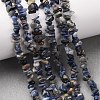 Natural Sodalite Chips Beads Strands LS-F024-5