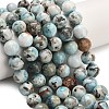 Natural Larimar Beads Strands G-L642-B19-12mm-1