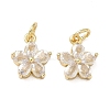 Brass Micro Pave Clear Cubic Zirconia Charms KK-F930-02G-1
