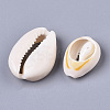 Natural Cowrie Shell Beads LS-X-SSHEL-N034-34-3