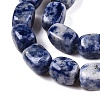 Natural Blue Spot Jasper Beads Strands G-T138-101-3