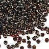 MIYUKI Round Rocailles Beads SEED-G010-RR4503-1