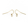 304 Stainless Steel Earring Hooks STAS-S111-010G-NR-1