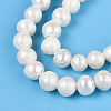 Natural Cultured Freshwater Pearl Beads Strands X-PEAR-N013-04F-4