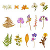 4 Bags 4 Styles Plant PET Adhesive Waterproof Stickers DIY-TA0009-84-1