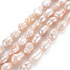 Natural Keshi Pearl Beads Strands PEAR-S020-T05-2