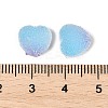 Imitation Candy Food Style Resin Cabochons RESI-R461-01M-4