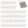 100 Pairs 316 Surgical Stainless Steel Earring Hooks STAS-UN0058-55-1
