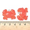 Resin Pendants RESI-F060-01B-3