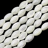 Natural Trochid Shell/Trochus Shell Beads Strands SH-CBA2978-09-1