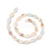 Natural Freshwater Shell Beads Strands SHEL-T009-22-3