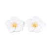 Plumeria Flower Opaque Resin Cabochons CRES-T025-30A-02-1