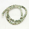 Natural Sesame Jasper/Kiwi Jasper Beads Strands G-G149-4mm-3-2