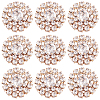 30Pcs Alloy Rhinestone Cabochons ALRI-GA0001-09KCG-1