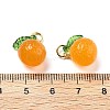 Dyed Natural Agate Orange Charms LS-G-U025-07G-4