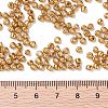 8/0 Glass Seed Beads X1-SEED-A017-3mm-1108-3