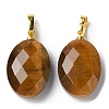 Natural Tiger Eye Pendants G-E603-03G-01-2