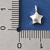 925 Sterling Silver Charms FIND-U013-06S-02-3