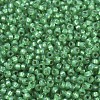 MIYUKI Round Rocailles Beads SEED-JP0008-RR0646-3